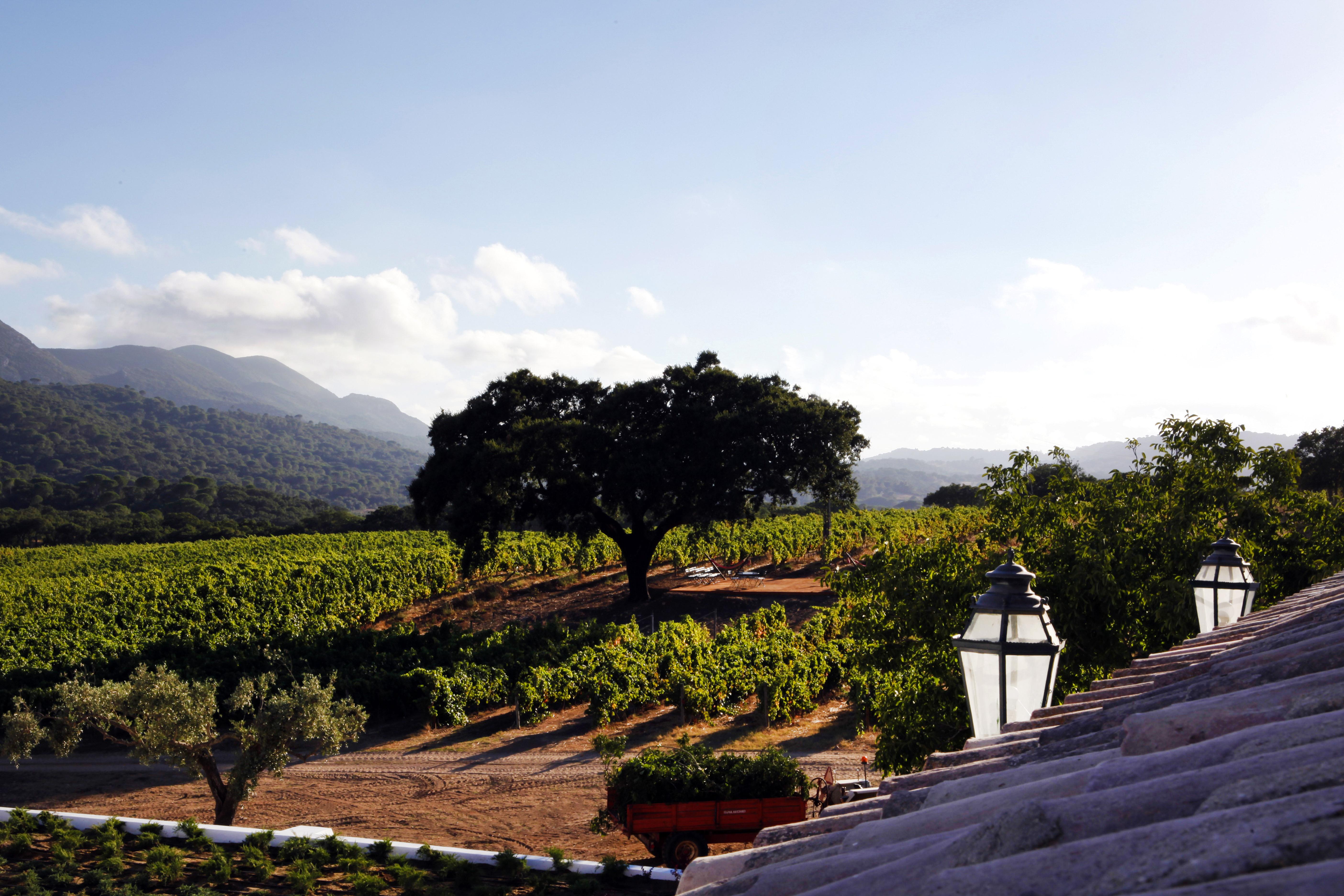 Hotel Casa Palmela - Small Luxury Hotels Of The World, Hotel & Villas Setúbal Extérieur photo